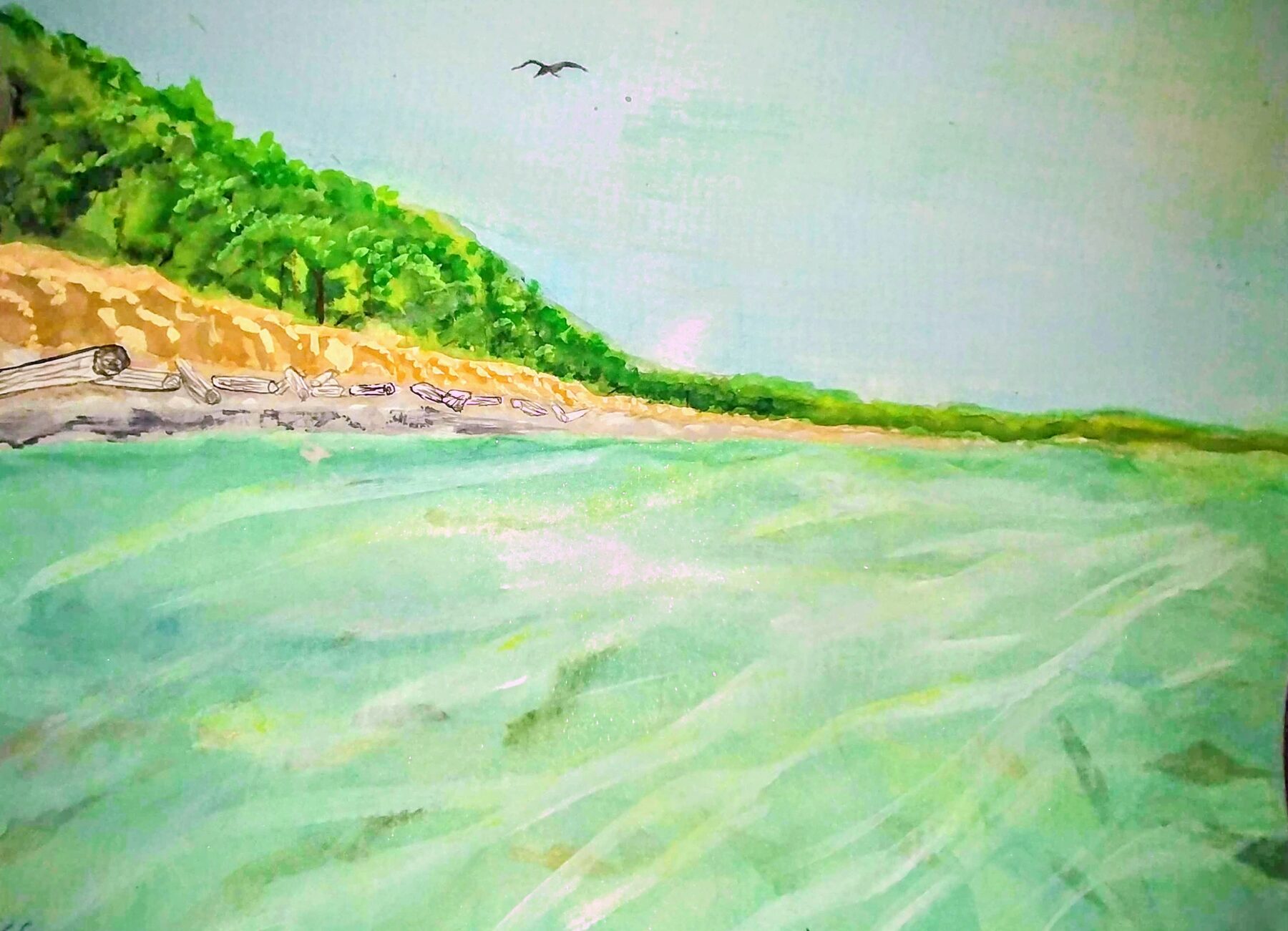 Watercolor of a green bluff above a driftwood shoreline with gulls over pale water