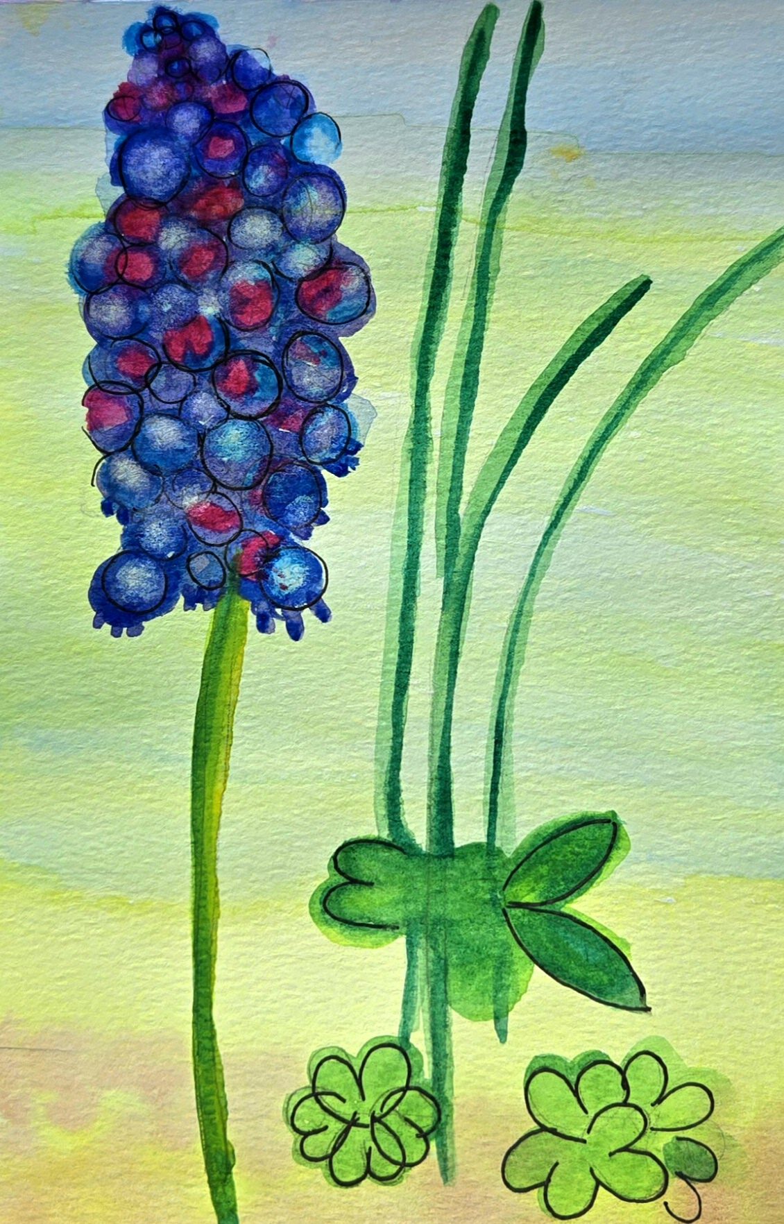 Watercolor grape hyacinth, a dense blue and violet flower cluster on a green stem