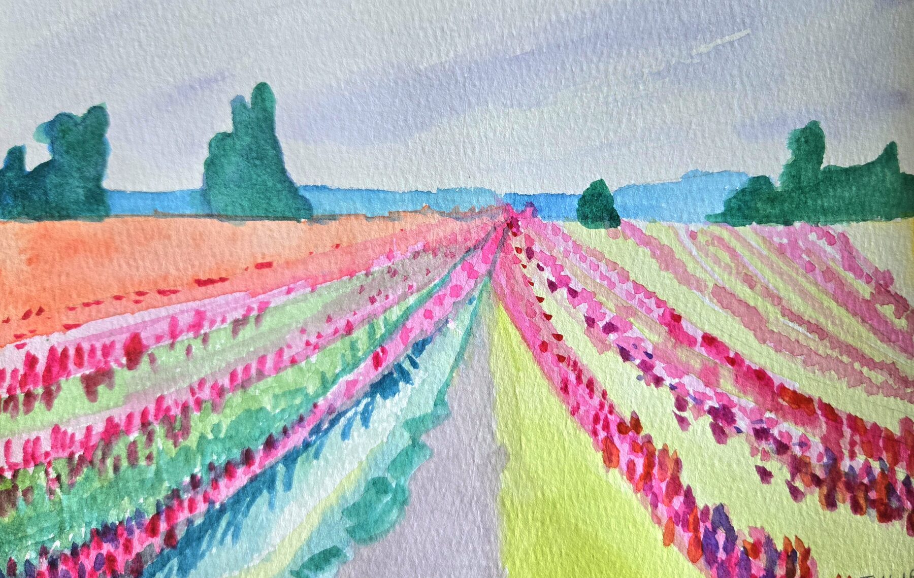 Watercolor of flower field rows running to a low horizon in pink, green and orange