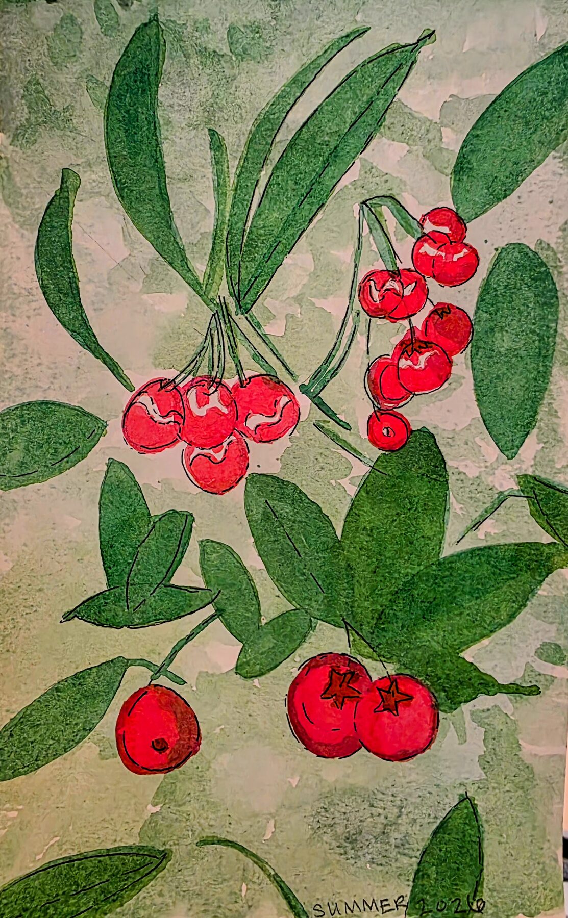 Watercolor study of kinnikinnick in fruit, clusters of red berries among green leaves
